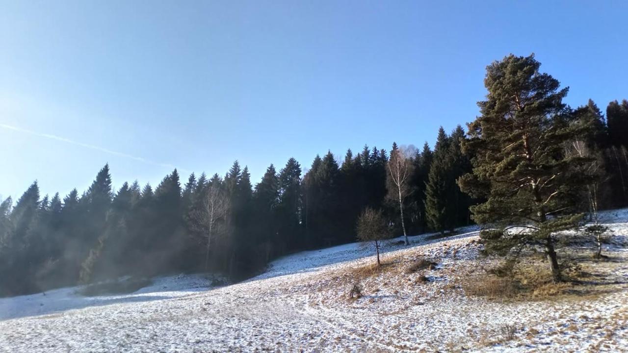 Lesny Zaulek Villa Мушина Екстериор снимка