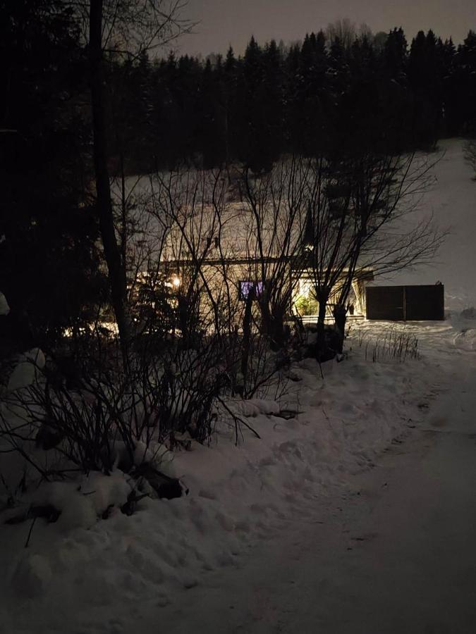Lesny Zaulek Villa Мушина Екстериор снимка